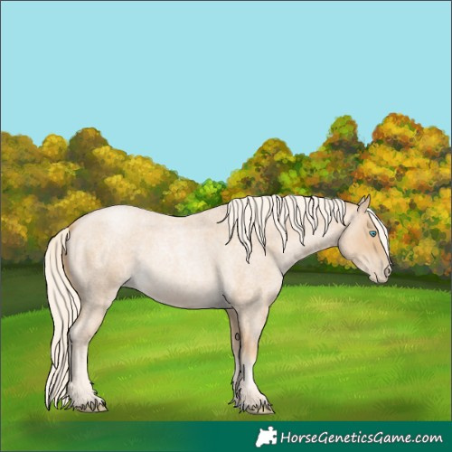 Horse Color:Palomino Roan Pearl 