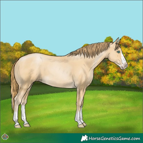 Horse Color:Smoky Black Pearl Splash 