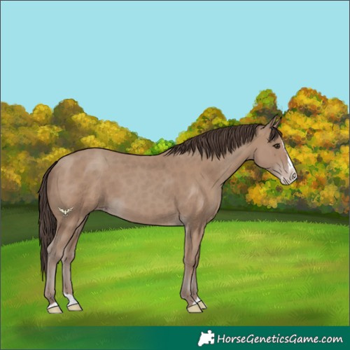 Horse Color:Classic Champagne Splash 