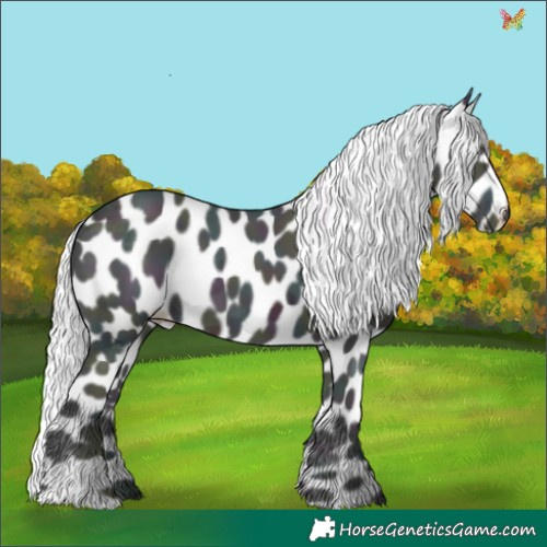 Horse Color:Watercolor Midnight Silver Brown Chinchilla Ice Harlequin Merle Skewed Appaloosa 