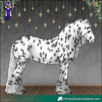 Horse Color:Watercolor Midnight Silver Brown Chinchilla Ice Harlequin Merle Skewed LP Spotted 
