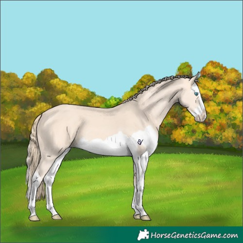 Horse Color:Perlino Splash and Perlino Splash