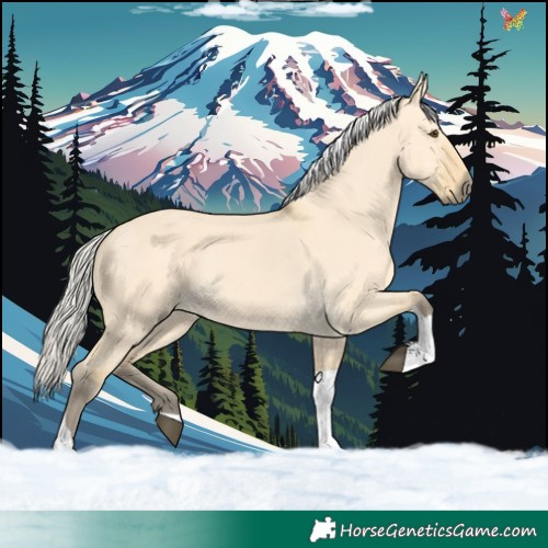 Horse Color:Silver Buckskin Dun Tobiano 