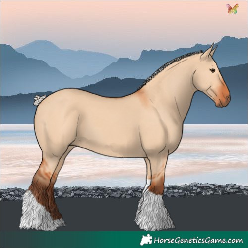 Horse Color:Silver Bay Dun Tobiano