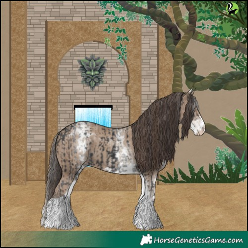 Horse Color:White Spotted Black  and White Spotted Classic Champagne Tobiano 