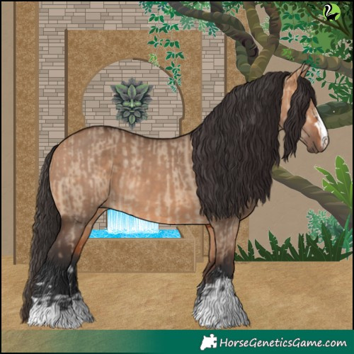 Horse Color:Bay Dun  and Bay Dun 