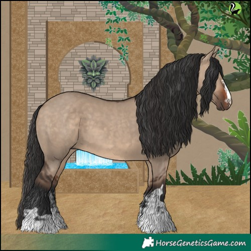 Horse Color:Brown Dun and Brown Dun
