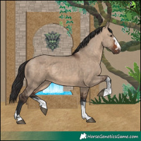 Horse Color:Brown Dun  and Brown Dun 