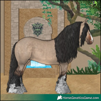 Horse Color:Brown Dun and Brown Dun