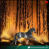 Horse Color:Blue Roan Tobiano  and White Spotted Black 