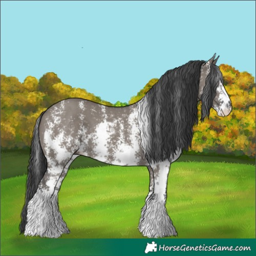 Horse Color:Grullo Sabino Rabicano