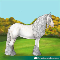Horse Color:Gray Silver Amber Cream Champagne Roan Dun Splash Tobiano Frame Appaloosa Rabicano 