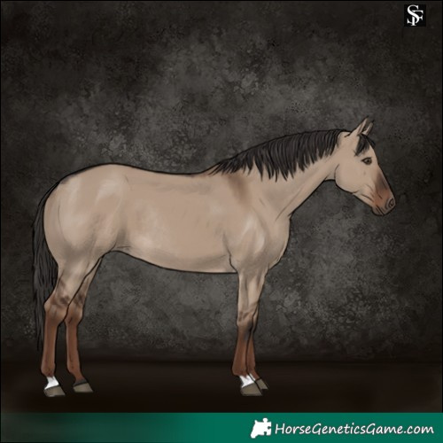 Horse Color:Liver Red Dun Rabicano 