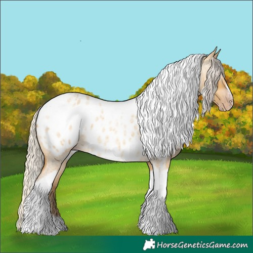 Horse Color:Gray Silver Amber Cream Champagne Roan Dun Splash Tobiano Frame Appaloosa Rabicano 