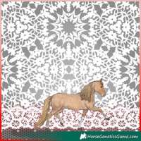 Horse Color:Red Roan Tobiano