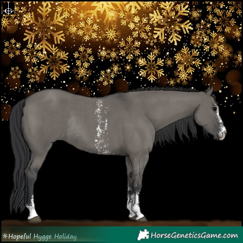 Horse Color:Grullo Sabino Rabicano 