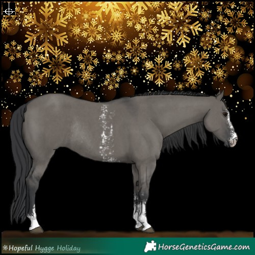 Horse Color:Grullo Sabino Rabicano 