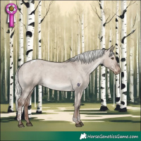 Horse Color:Liver Red Dun Mushroom Tobiano Appaloosa Rabicano 