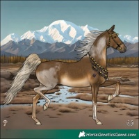 Horse Color:Chocolate Palomino Mushroom Tobiano Rabicano