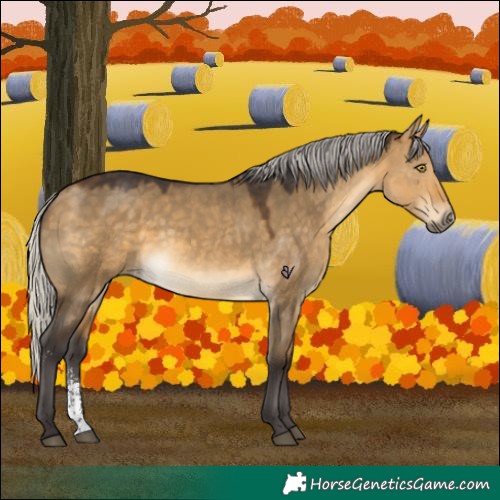 Horse Color:Silver Buckskin Dun Sabino 