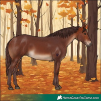 Horse Color:Chocolate Bay 