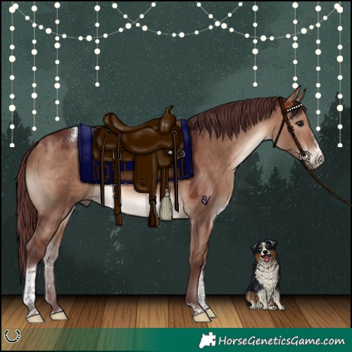 Horse Color:Chocolate Brown Dun Sabino Tobiano Rabicano 