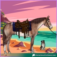 Horse Color:Chocolate Brown Dun Sabino Tobiano Rabicano