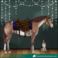 Horse Color:Chocolate Brown Dun Sabino Tobiano Rabicano