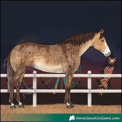 Horse Color:Chocolate Buckskin Dun Sabino Brindle