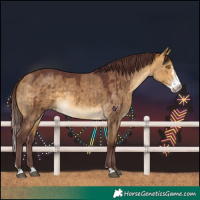 Horse Color:Chocolate Buckskin Dun Sabino Brindle 
