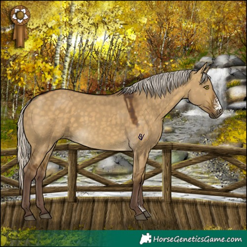 Horse Color:Chocolate Silver Buckskin Dun Sabino Rabicano 