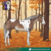 Horse Color:Chocolate Silver Brown Dun Sabino Splash Tobiano 