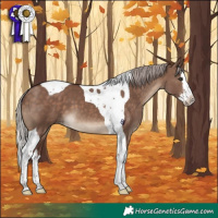Horse Color:Chocolate Silver Brown Dun Sabino Splash Tobiano 