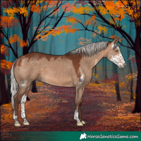 Horse Color:Silver Bay Dun Sabino Rabicano 