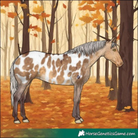 Horse Color:Chocolate Silver Buckskin Dun Appaloosa Rabicano 