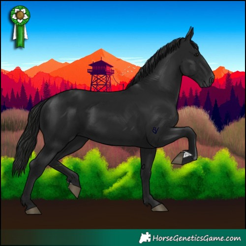 Horse Color:Gray Black 