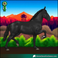 Horse Color:Gray Black 