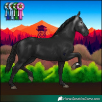 Horse Color:Gray Black 