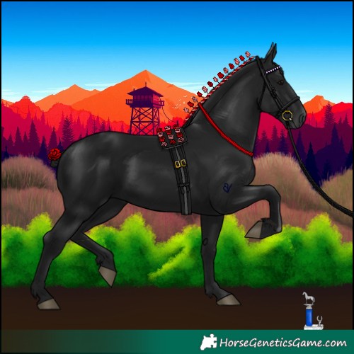 Horse Color:Gray Black 