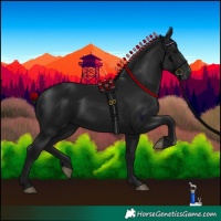 Horse Color:Gray Black 