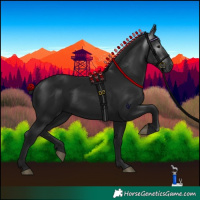 Horse Color:Gray Black 
