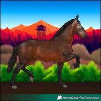 Horse Color:Gray Bay 