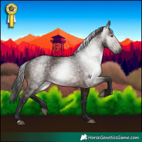 Horse Color:Gray Bay 