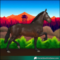 Horse Color:Gray Bay