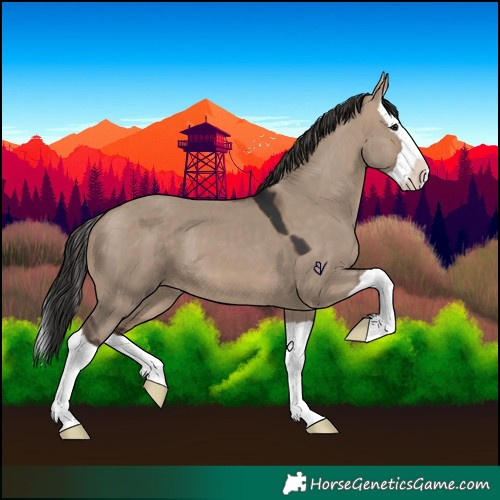 Horse Color:Brown Dun Splash 