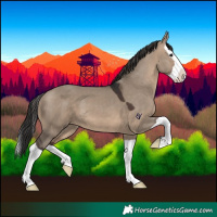 Horse Color:Brown Dun Splash 