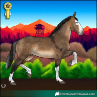 Horse Color:Gray Brown Dun Splash