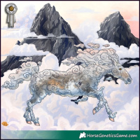 Horse Color:Gray Silver Buckskin Tobiano Rabicano