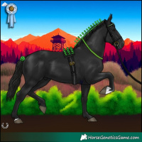 Horse Color:Gray Black 
