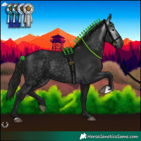 Horse Color:Gray Black 